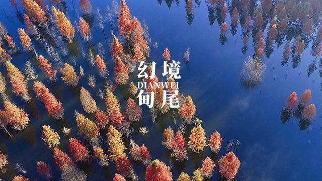 一顿浪漫晚餐